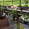 Hoffmanns Weinzeit - Heurigenrestaurant in Mnchhof (Burgenland / Neusiedl am See)]