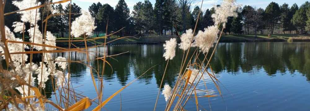 Restaurant Haus am See in Oberwaltersdorf