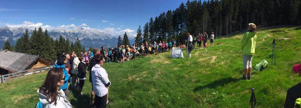 Aldranser Alm in Aldrans