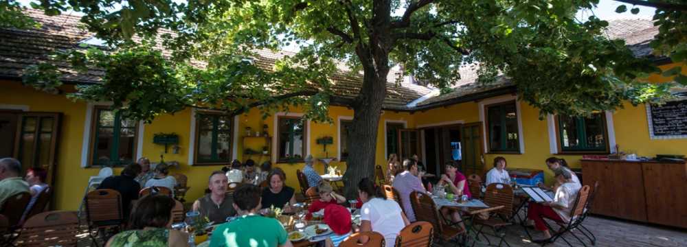 Oberlaaer Dorf-Wirt in Wien