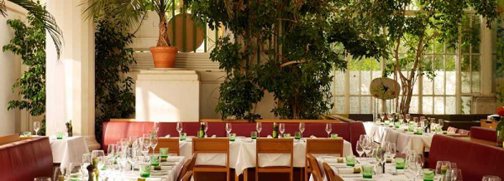 Restaurants in Wien: BRASSERIE PALMENHAUS