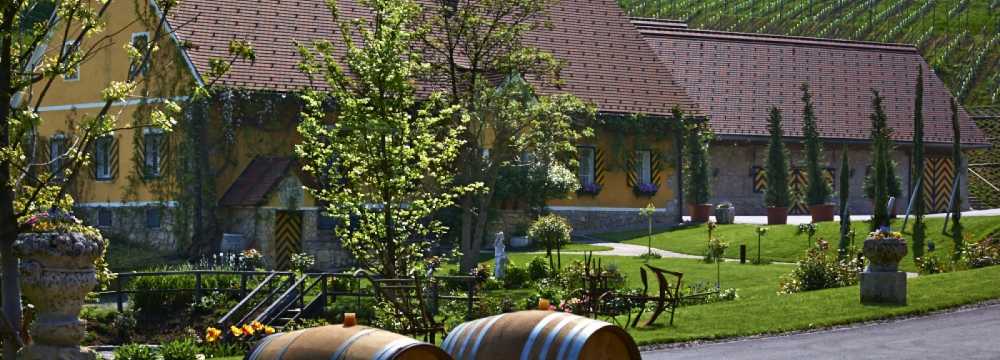 Weingut Georgiberg in Berghausen