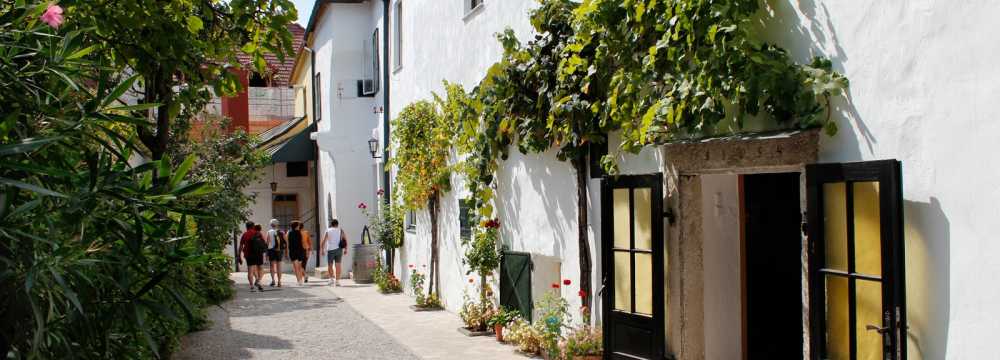 Weingut Schabl in Gumpoldskirchen