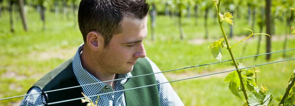 Weingut Pilch in Ratsch an der Weinstrasse