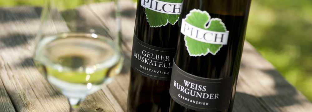 Weingut Pilch in Ratsch an der Weinstrasse