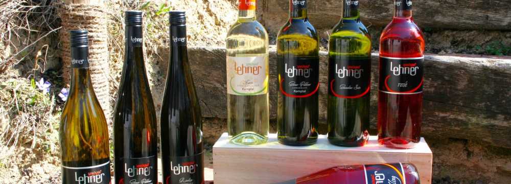 Weingut-Heuriger Lehner in Langenlois