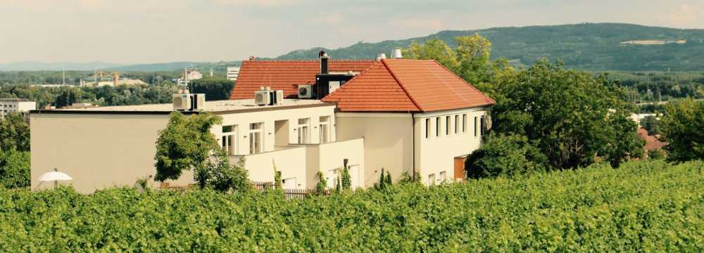 Restaurants in Krems: Weingut Hutter GmbH