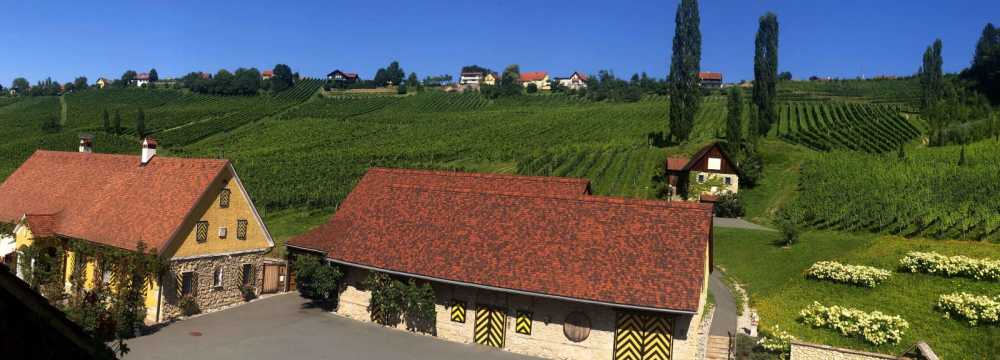 Weingut Georgiberg in Berghausen