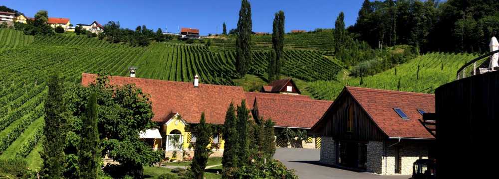 Weingut Georgiberg in Berghausen