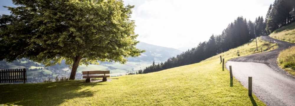 Bergasthaus KandlerAlm in Brixen im Thale