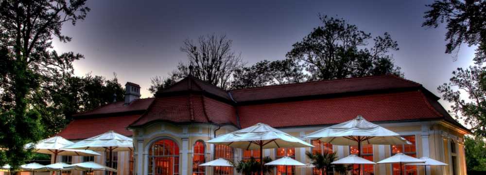 Orangerie im Schlosspark GmbH in Steyr