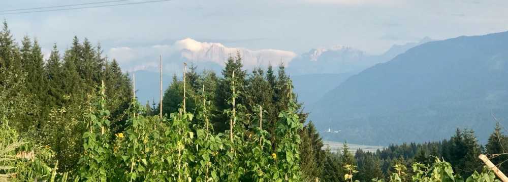 Wirtshaus Zum Gustl in St. Stefan im Gailtal